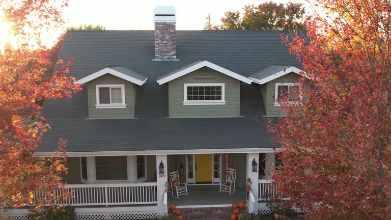 Best Roof Moss and Algae Removal  in Midtown, TN